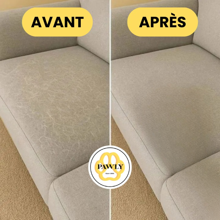 Sur ton canapé clair, même les poils blancs disparaissent !