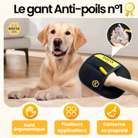 Gant Anti-Poils n°1 PAWLY avec Golden Retriever - gant ergonomique pour chiens toutes races
