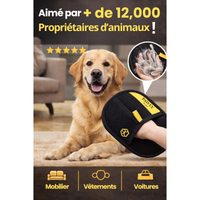 Gant Anti-Poils PAWLY - aimé par plus de 12 000 propriétaires d'animaux pour mobilier vêtements et voitures